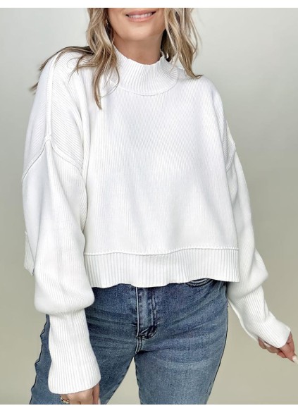 Women's simple solid color turtleneck sweater